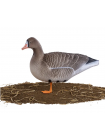 Комплект чучел белолобого гуся Buck Decoys, 10 штук